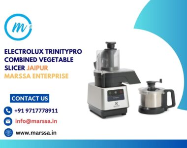 Electrolux TrinityPro Combined Vegetable Slicer Jaipur Marssa Enterprise