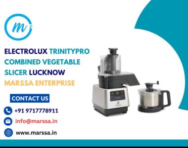 Electrolux TrinityPro Combined Vegetable Slicer Lucknow Marssa Enterprise