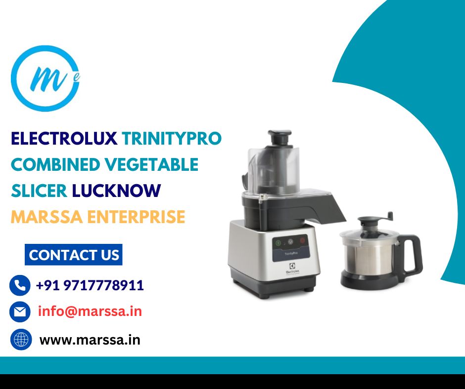Electrolux TrinityPro Combined Vegetable Slicer Lucknow Marssa Enterprise