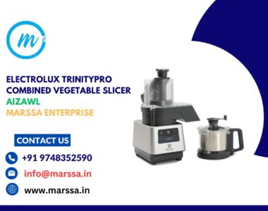 Electrolux TrinityPro Combined Vegetable Slicer Aizawl Marssa Enterprise
