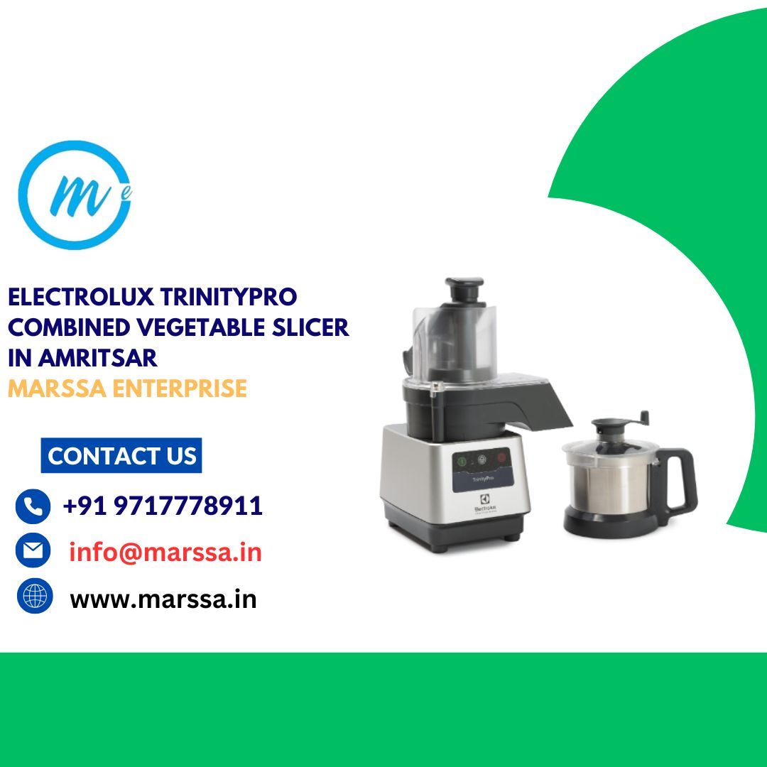 Electrolux TrinityPro Combined Vegetable Slicer in Amritsar Marssa Enterprise