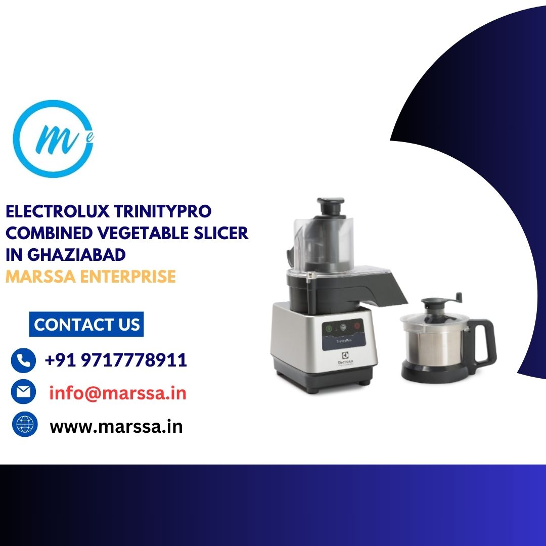 Electrolux TrinityPro Combined Vegetable Slicer in Ghaziabad Marssa Enterprise