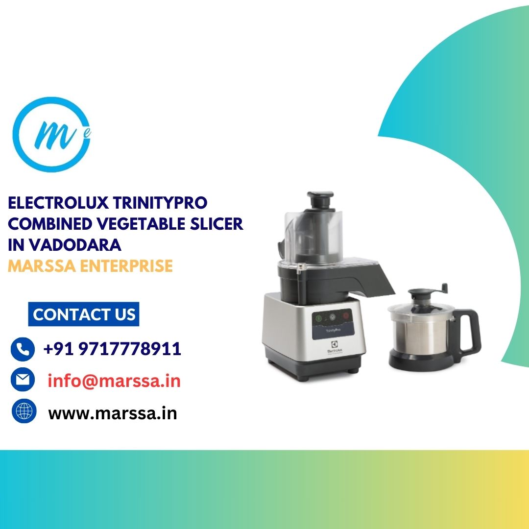 Electrolux TrinityPro Combined Vegetable Slicer in Vadodara Marssa Enterprise