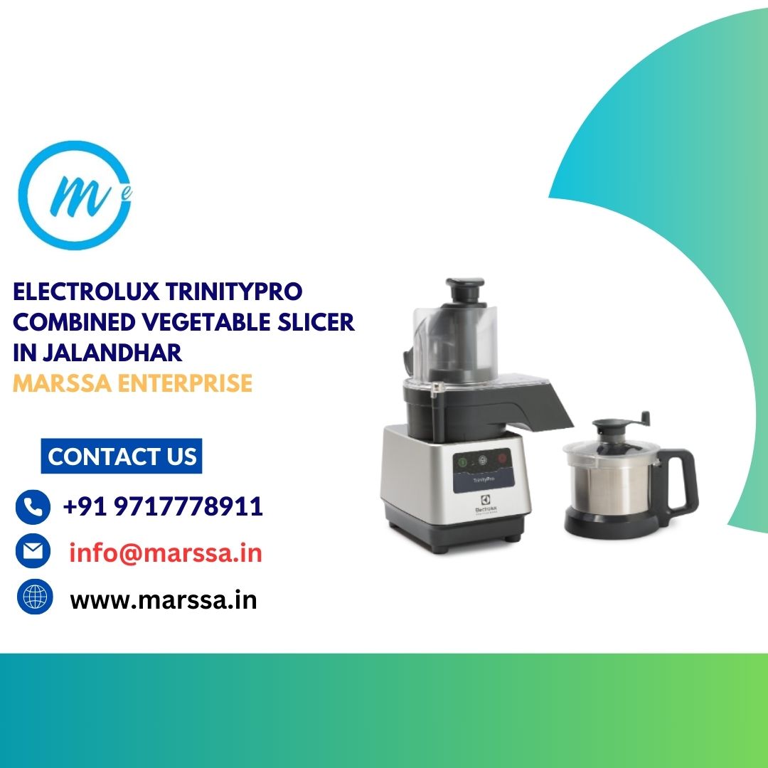 Electrolux TrinityPro Combined Vegetable Slicer in Jalandhar Marssa Enterprise