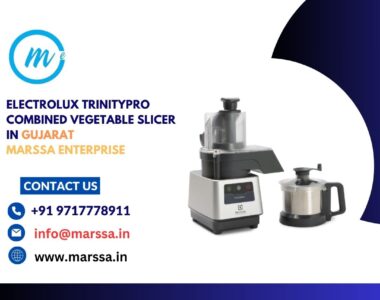 Electrolux TrinityPro Combined Vegetable Slicer in Gujarat Marssa Enterprise