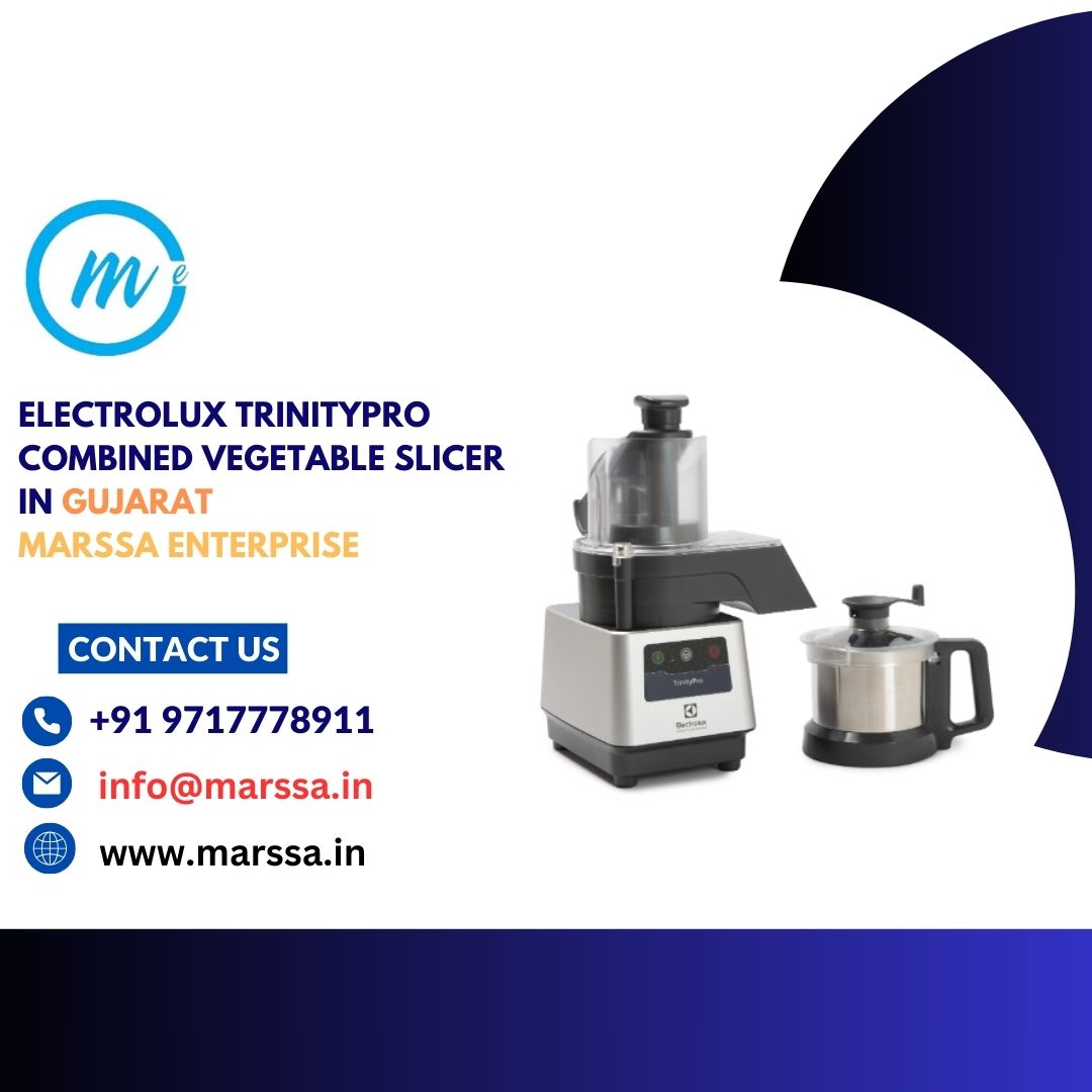 Electrolux TrinityPro Combined Vegetable Slicer in Gujarat Marssa Enterprise