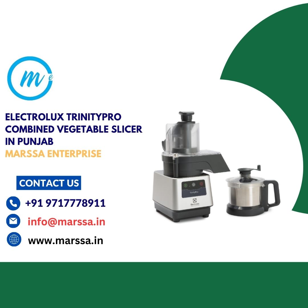 Electrolux TrinityPro Combined Vegetable Slicer in Punjab Marssa Enterprise